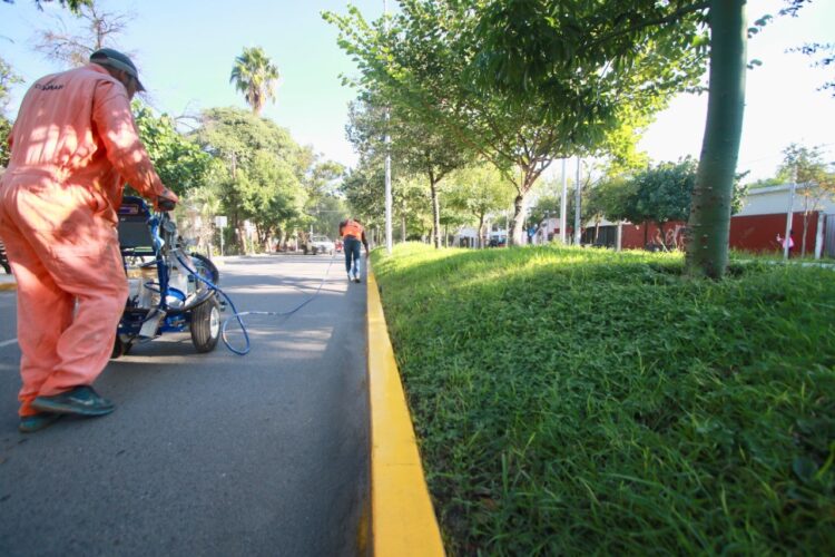 Mejoran la señalización en la calle 17 de Ciudad Victoria 
