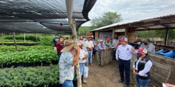 Supervisa Rodolfo González Valderrama programa “Sembrando Vida” en Tamaulipas
