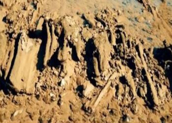 Se cree que han encontrado restos de la Atlántida en la costa de Cádiz