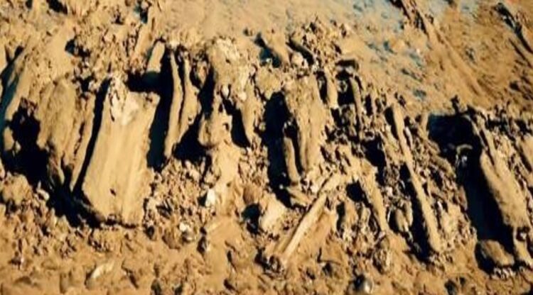 Se cree que han encontrado restos de la Atlántida en la costa de Cádiz