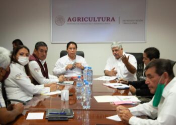 Impulsa Gobierno de México el bienestar en el campo con más de 550 mdp: Rodolfo González Valderrama