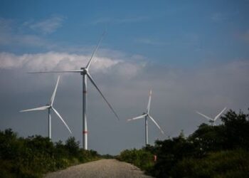 Tamaulipas, el pinchazo de la gran promesa eólica