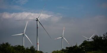 Tamaulipas, el pinchazo de la gran promesa eólica