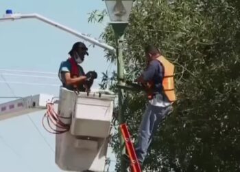 Rehabilitación de alumbrado en Ciudad Victoria.