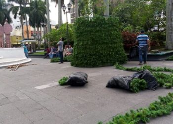 Adornan a Tampico para celebración de Navidad