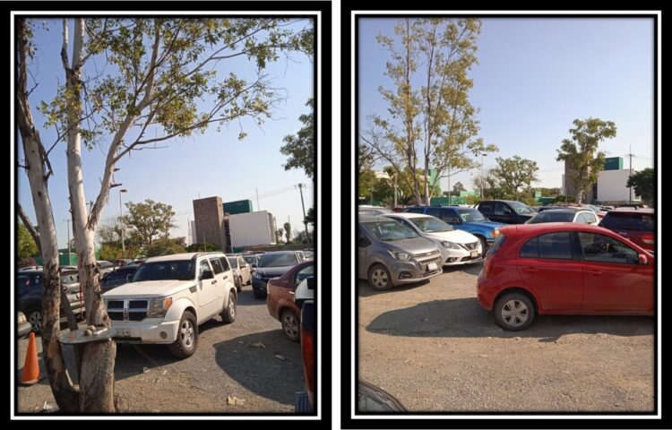 Un apretado estacionamiento en “La Loma” de Cd. Victoria