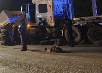 Trailer se accidenta contra retén.