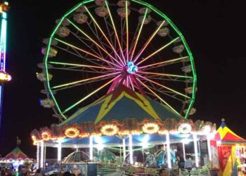 Últimos días de la feria Tam