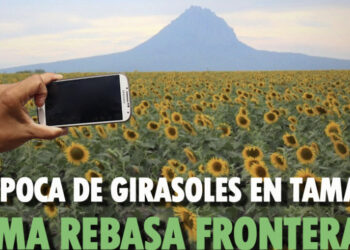 Gonzàlez,Tamaulipas abre sus puertas