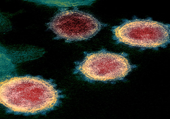 Detectan en Sudáfrica una nueva variante del coronavirus con múltiples mutaciones