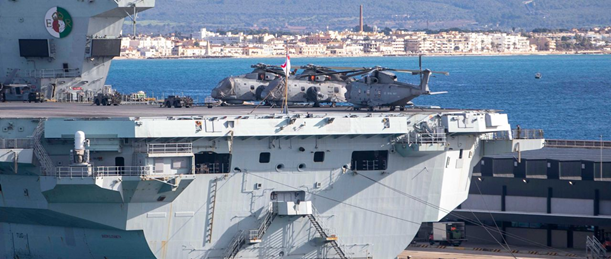 Vista de palma desde el portaviones Queen Elizabeth