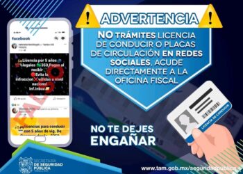 En Tamaulipas, ofrecen venta falsa de licencias y placas