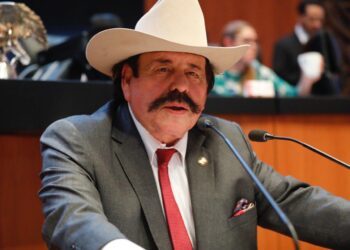 Senador Armando Guadiana reconoce tener avión privado