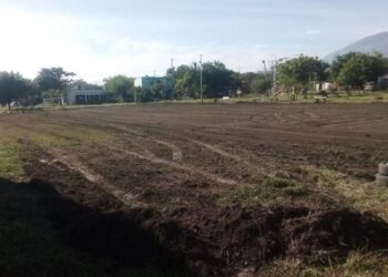 Las acciones de Eduardo Gattás por Ciudad Victoria.