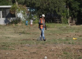 Se continúan recuperando las áreas verdes de la ciudad.