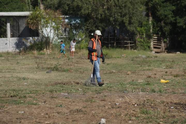 Se continúan recuperando las áreas verdes de la ciudad.