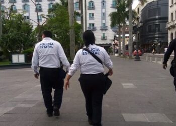 Cuidarán 100 policías estatales la zona sur durante fin de año