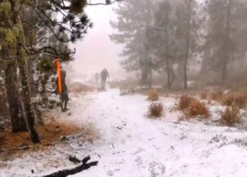 Se registra la primera nevada del año en sierra de Nuevo León