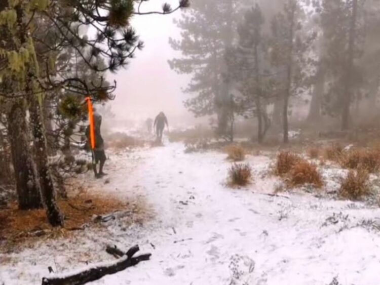 Se registra la primera nevada del año en sierra de Nuevo León