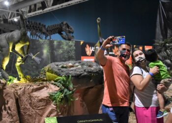 Inauguran en Tampico el museo itinerante “Tierra de Dinosaurios”