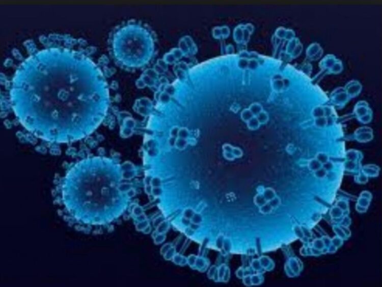 Influenza resurge en EU, afecta a ancianos y niños