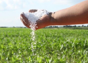 Se dispara 131% precio de fertilizantes e impacta en alimentos