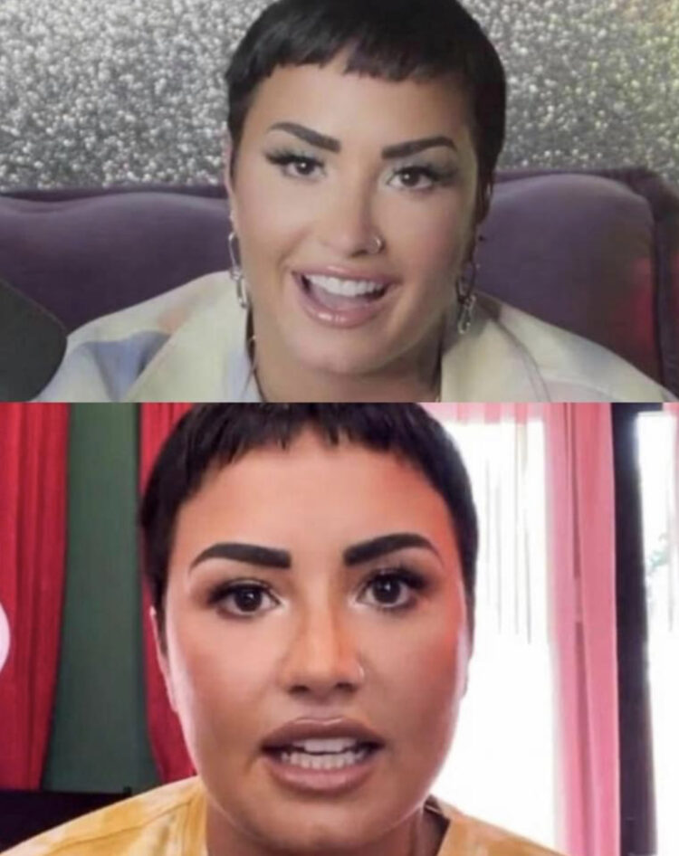 Demi Lovato asegura dar conciertos a fantasmas