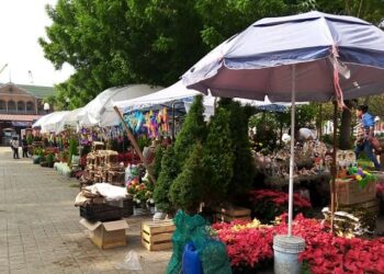 Hacen venta navideña en la plaza Hijas de Tampico