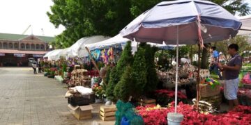 Hacen venta navideña en la plaza Hijas de Tampico