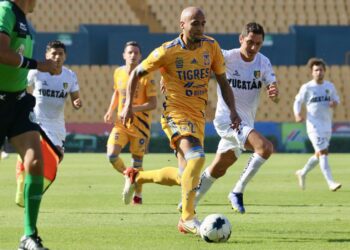 Nuevos fichajes en Tigres a la Clausura 2022