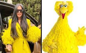 Comparan a Martha Debayle con Big Bird