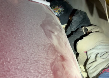 Detectan a vagones de trenes y tráileres a indocumentados