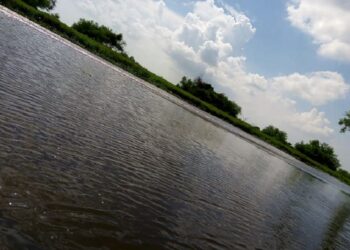 Advierten riesgo de agua salada este 2022; Federación debe atender dique El Camalote