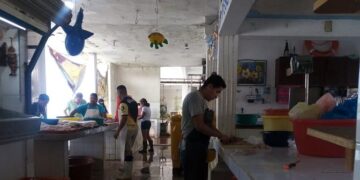 Urge reparar techo del Mercado de “La Puntilla” en Tampico