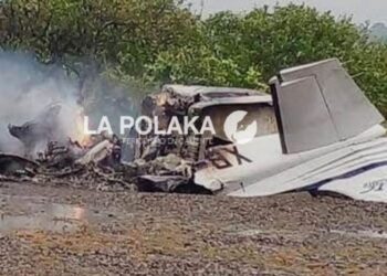 Mueren dos personas al desplomarse avioneta en Chihuahua