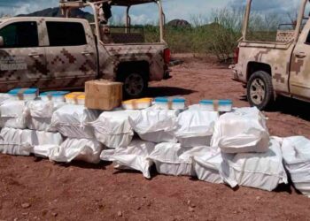 Sedena asegura aeronave con drogas en Sonora