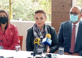 En seguridad seguimos debiendo a México: Cecilia Sánchez.