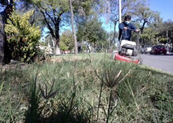 Recolección, rehabilitación y limpieza de zonas verdes de la ciudad.