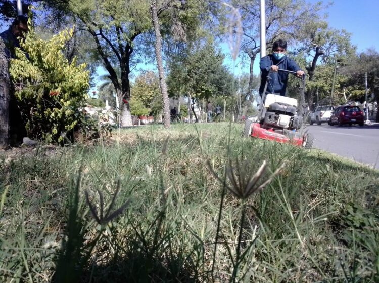 Recolección, rehabilitación y limpieza de zonas verdes de la ciudad.