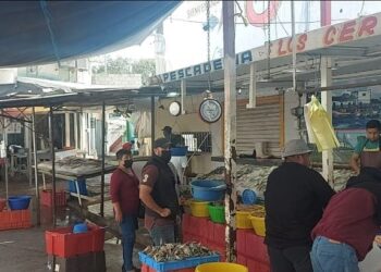 Urge la remodelación del mercado de mariscos La Puntilla
