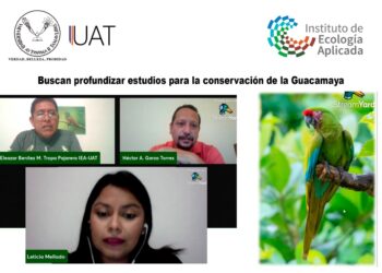 Colabora UAT en estudios para la conservación de la Guacamaya
