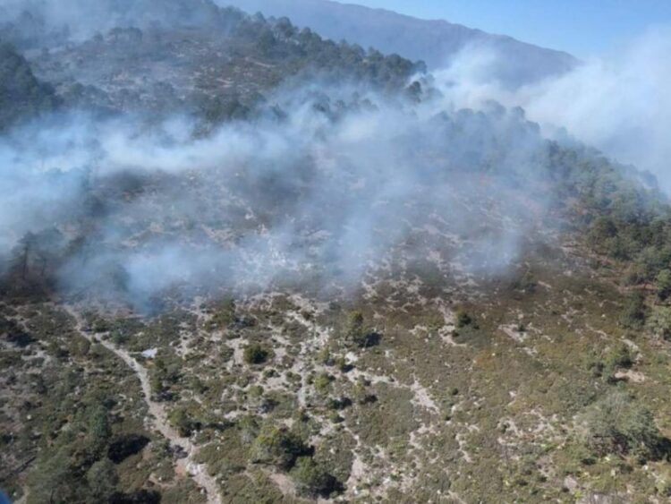 Se registra incendio forestal en Galeana, Nuevo León
