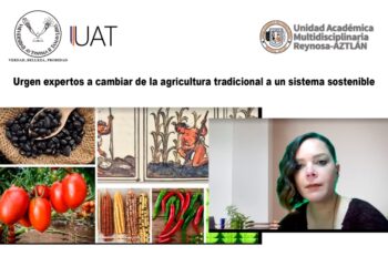 Urgen expertos a cambiar de la agricultura tradicional a un sistema sostenible.