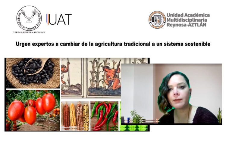 Urgen expertos a cambiar de la agricultura tradicional a un sistema sostenible.