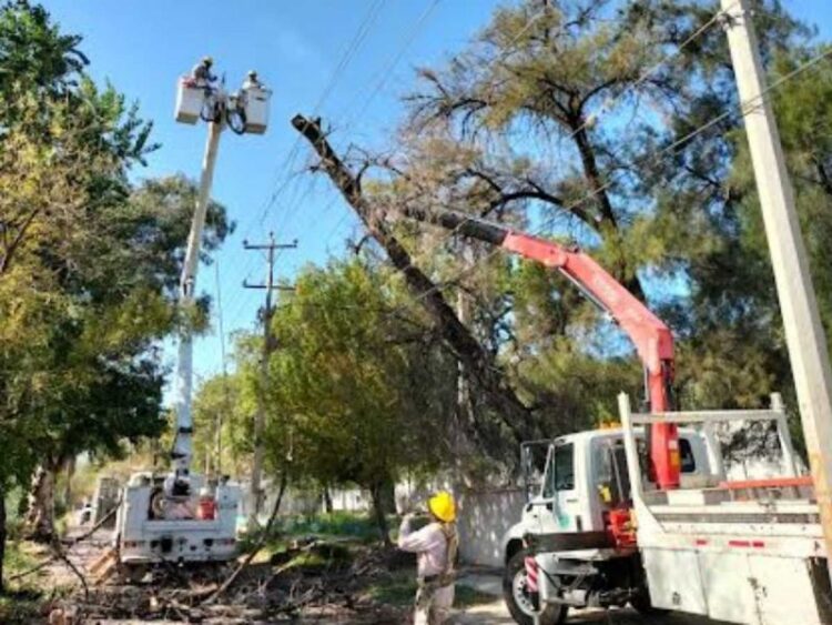 CFE restablece electricidad en Tamaulipas, Veracruz, SLP y Puebla tras ‘Norte’
