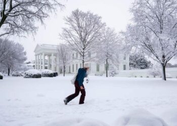 Tormenta invernal azota Washington; cierran escuelas y oficinas de gobierno