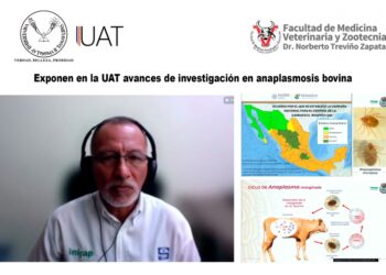 Exponen en la UAT avances de investigación en anaplasmosis bovina