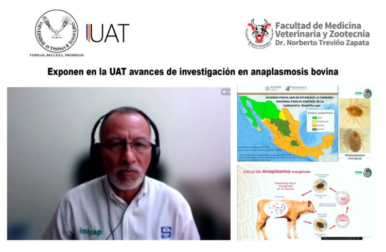 Exponen en la UAT avances de investigación en anaplasmosis bovina
