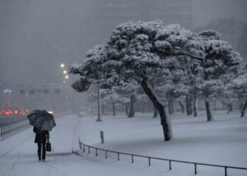 Inusual nevada en Tokio cubre santuarios y obliga a cancelar vuelos