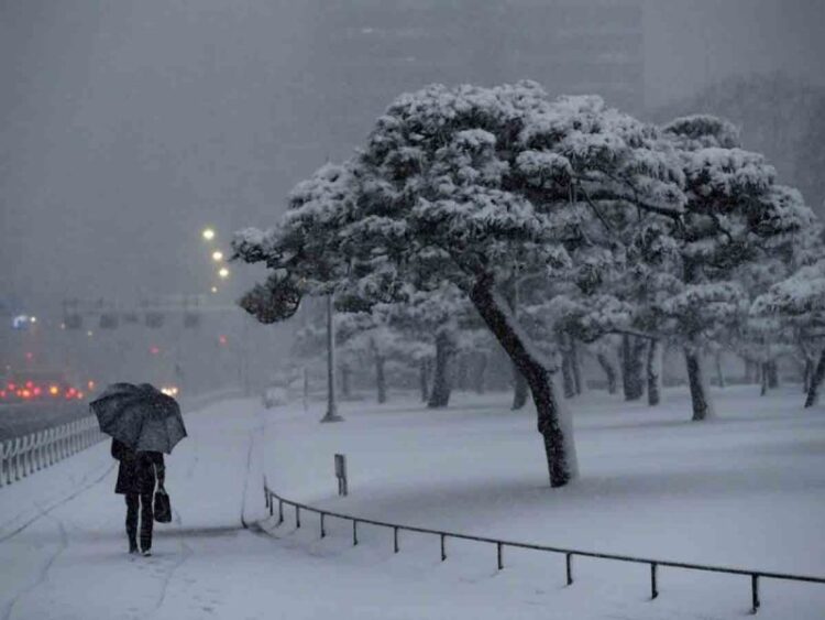 Inusual nevada en Tokio cubre santuarios y obliga a cancelar vuelos